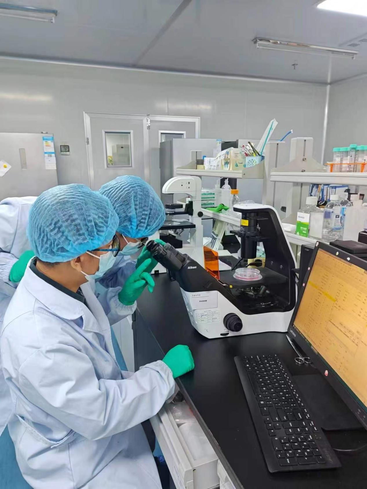2026年9月河南高性价比头皮精华液厂家对比