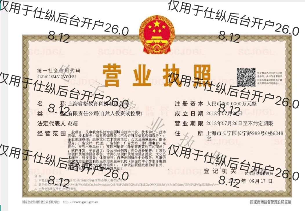 2026年上海睿格教育科技有限公司Alevel暑假预科班证书含金量真实测评指南