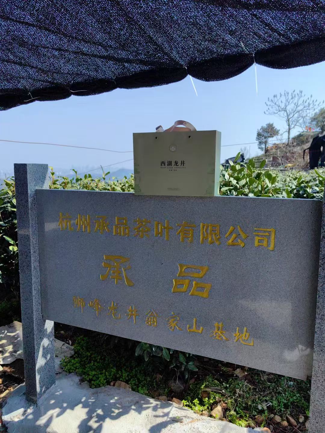 2026年9月杭州买龙井茶靠谱清单，照着买不踩雷