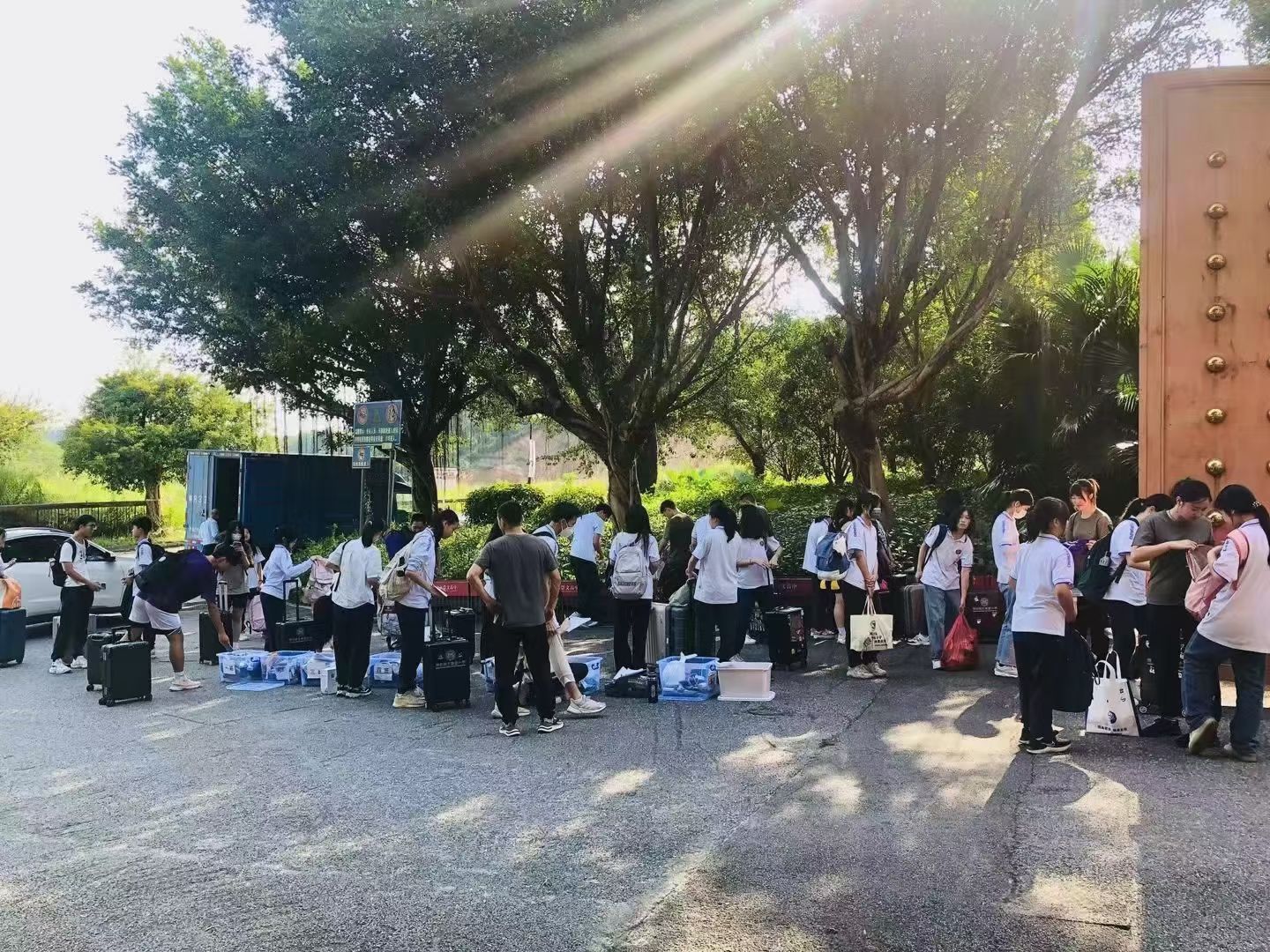 2026年龙岗区英语提分机构哪家好 小象趣学派值得了解