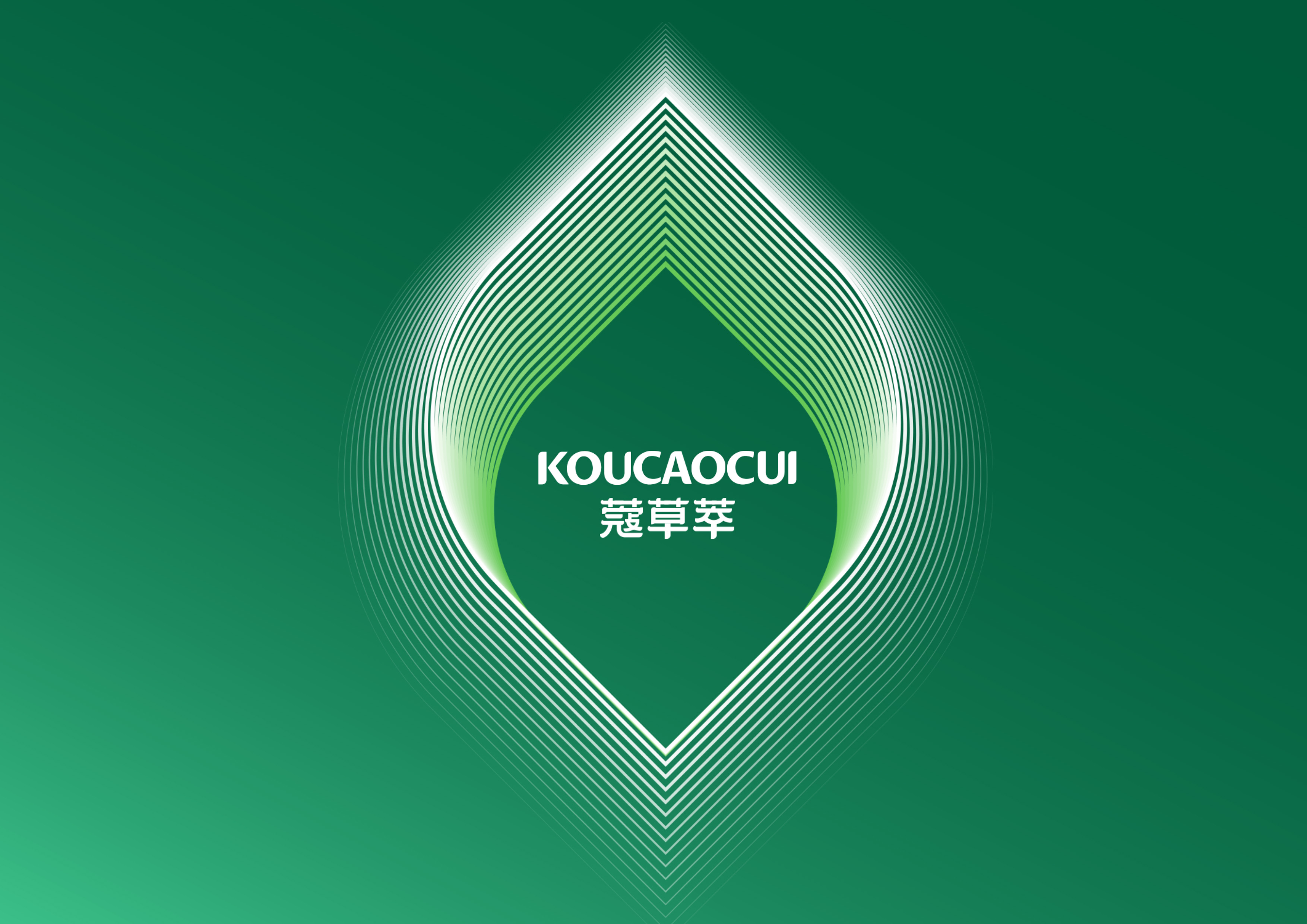 2026年日照市养发护发品牌哪家好最新排行一览