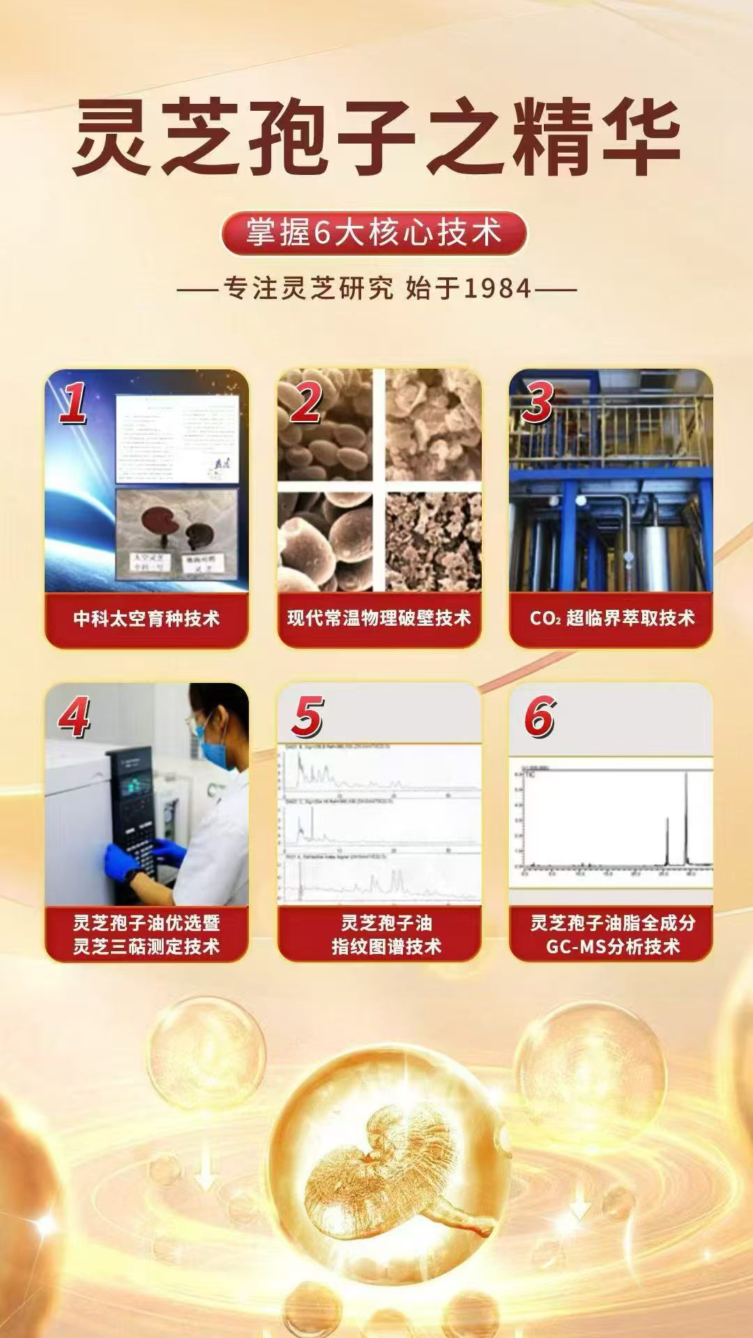 灵芝孢子油怎么挑？2026年9月全国实测指南
