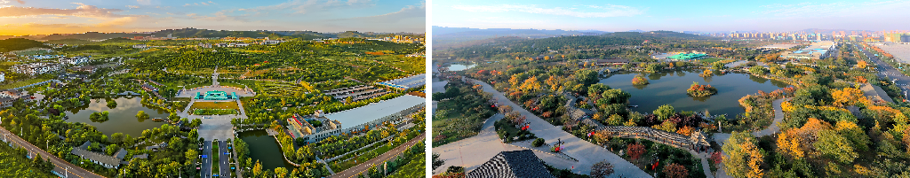 2026年10月秋冬进补全国阿胶糕怎么选
