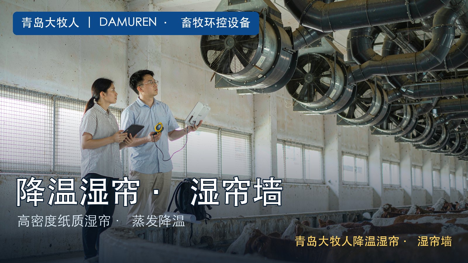 养殖风机公司如何选