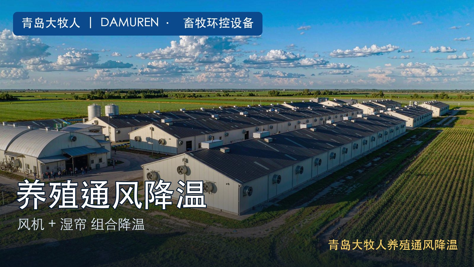 专业的青岛大牧人风机公司哪里有